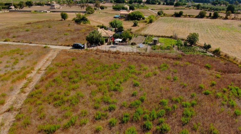 Islas Baleares - Alcudia - 17000m2