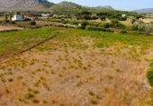 Land with ruins for sale on camí de Can Socies, Alcúdia, ref: TR227775 photo