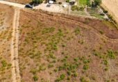 Land with ruins for sale on camí de Can Socies, Alcúdia, ref: TR227775 photo