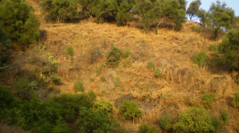 Málaga - Genalguacil - 18000m2