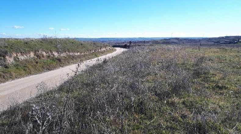 Community of Madrid - El Molar - 34000m2