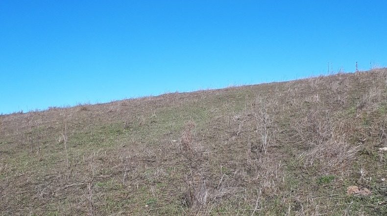 Community of Madrid - El Molar - 34000m2