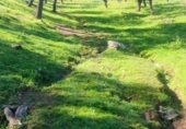 Detached villa with land for sale on Ex-112, Villanueva del Fresno, ref: TR228405 photo