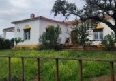 Detached villa with land for sale on Ex-112, Villanueva del Fresno, ref: TR228405 photo
