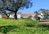 Detached villa with land for sale on Ex-112, Villanueva del Fresno, ref: TR228405 photo