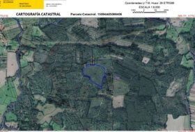 Zas 83321&nbsp;м²
