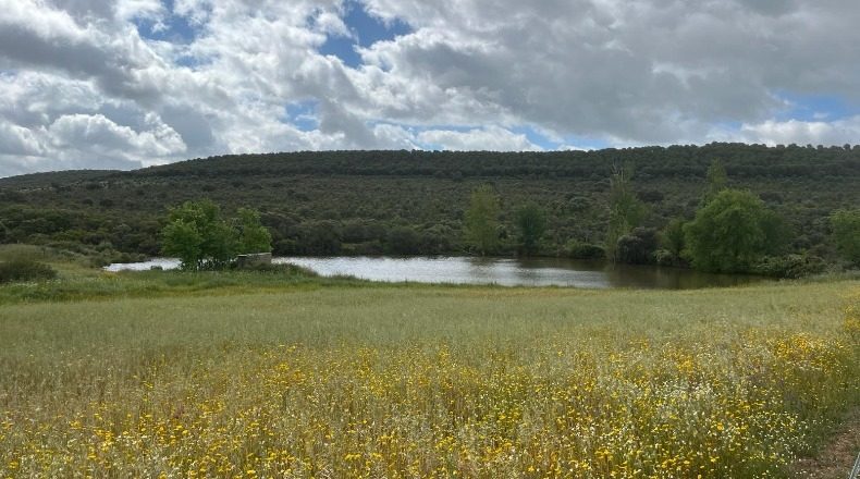 Ciudad Real - Retuerta del Bullaque - 5100000m2