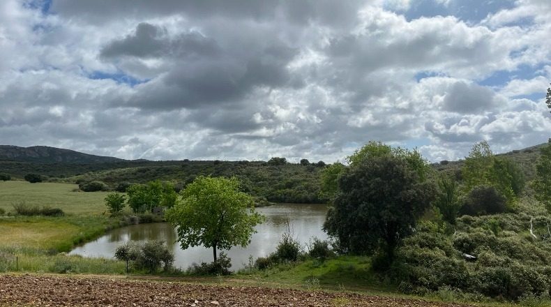 Ciudad Real - Retuerta del Bullaque - 5100000m2