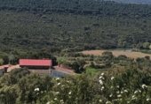 Finca rústica en venda a la CR-4142, Chillón, ref.: TR228446 foto