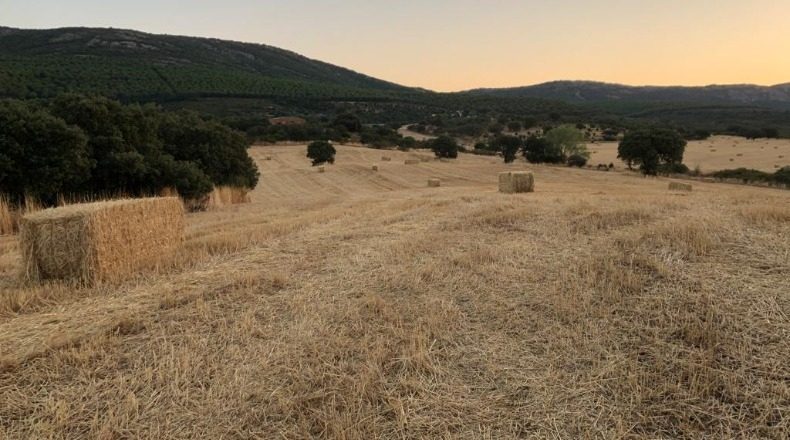 Ciudad Real - Retuerta del Bullaque - 5100000m2