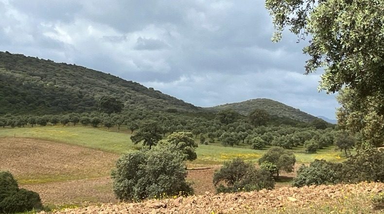 Ciudad Real - Retuerta del Bullaque - 5100000m2