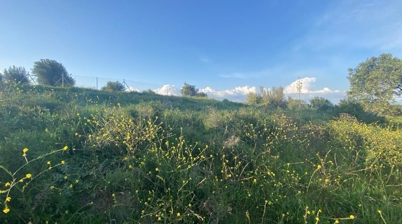 Málaga - Coín - 10000m2