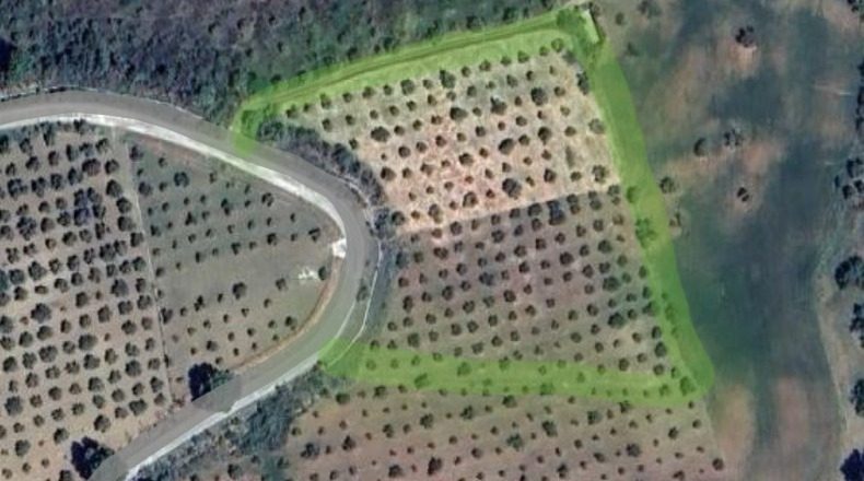 Málaga - Coín - 10000m2