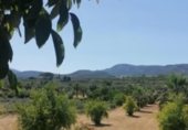 Non-developable land for sale on Camí del Porro i la Solana, Agullent, ref: TR229685 photo