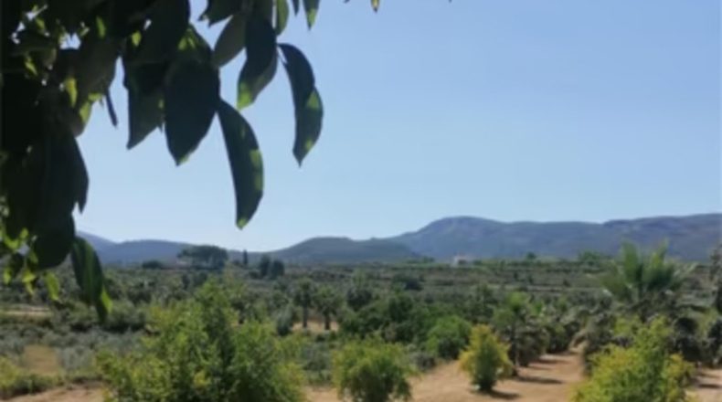Valencia - Agullent - 21352m2