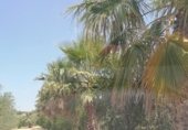 Non-developable land for sale on Camí del Porro i la Solana, Agullent, ref: TR229685 photo