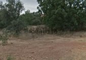 Land suitable for development for sale on Camino del Rubial, Fresno de Cantespino, ref: TR231100 photo