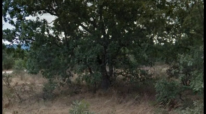 Segòvia - Fresno de Cantespino - 2500m2