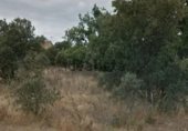 Land suitable for development for sale on Camino del Rubial, Fresno de Cantespino, ref: TR231100 photo