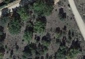 Land suitable for development for sale on Camino del Rubial, Fresno de Cantespino, ref: TR231100 photo