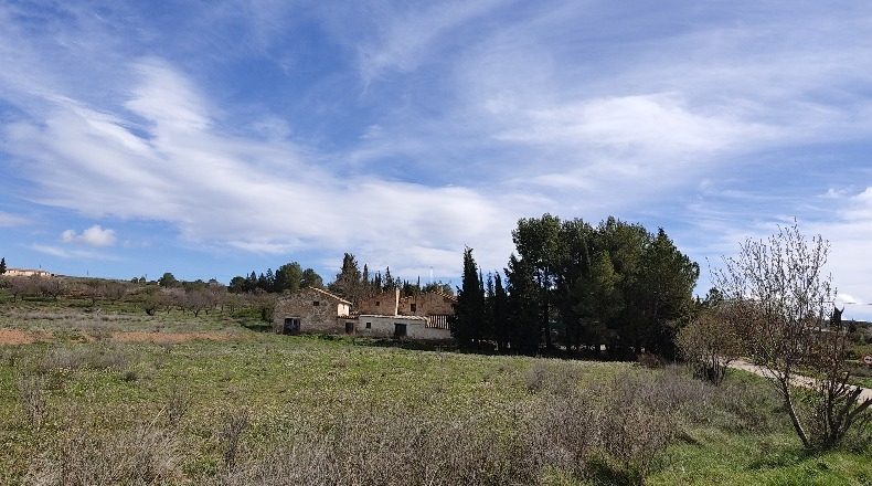 Murcia - Каравака де ла Крус - 12500m2