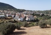 Parcel·la urbanitzable en venda a la Camino del Cementerio, Cogollos de la Vega, ref.: TR231103 foto