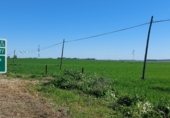 Земля на продажу у города Gerena Фото