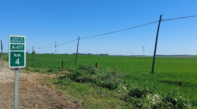 Sevilla - Gerena - 12880m2