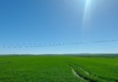 Земля на продажу у города Gerena Фото