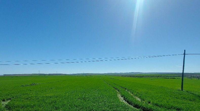Sevilla - Gerena - 12880m2