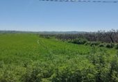Земля на продажу у города Gerena Фото