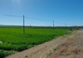 Земля на продажу у города Gerena Фото