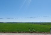 Земля на продажу у города Gerena Фото