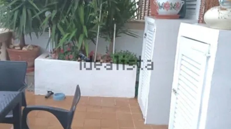 Illes Balears - Palma - 260m2
