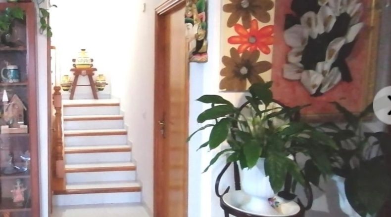 Illes Balears - Palma - 260m2