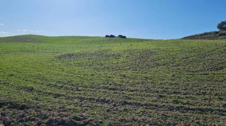 Comunidad de Madrid - San Martín de la Vega - 2312839m2