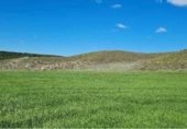 Terreny no urbanitzable en venda a la Paraje Vega de San Fernando y Monte del Fraile en la Sierra del Jarama, San Martín de la Vega, ref.: TR230160 foto