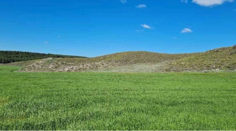Comunidad de Madrid - San Martín de la Vega - 2312839m2