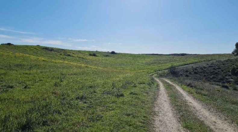 Comunidad de Madrid - San Martín de la Vega - 2312839m2