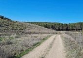 Terreny no urbanitzable en venda a la Paraje Vega de San Fernando y Monte del Fraile en la Sierra del Jarama, San Martín de la Vega, ref.: TR230160 foto