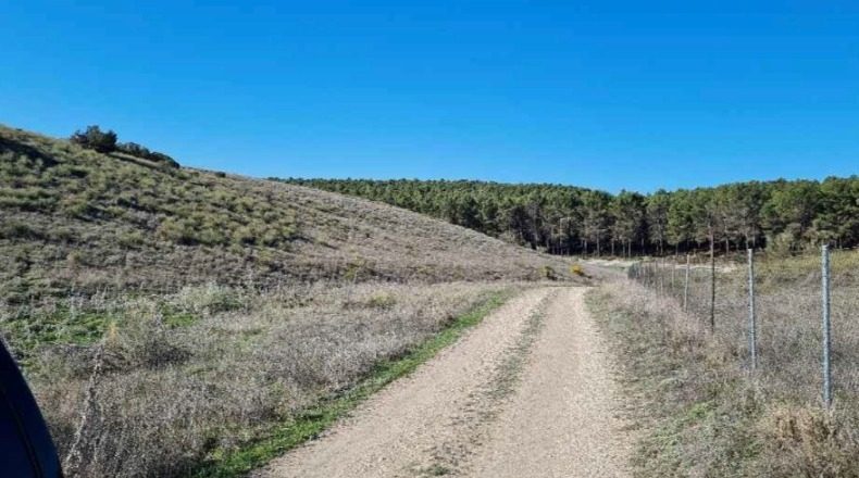 Comunidad de Madrid - San Martín de la Vega - 2312839m2