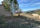 Casa de campo con terreno en venta en la Casas de Don Benito, Letur, ref: TR230151 foto