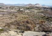 Terreny no urbanitzable en venda a la Camí de la Serra de les Índies / Camino Sierra de las Indias, Alacant, ref.: TR230223 foto