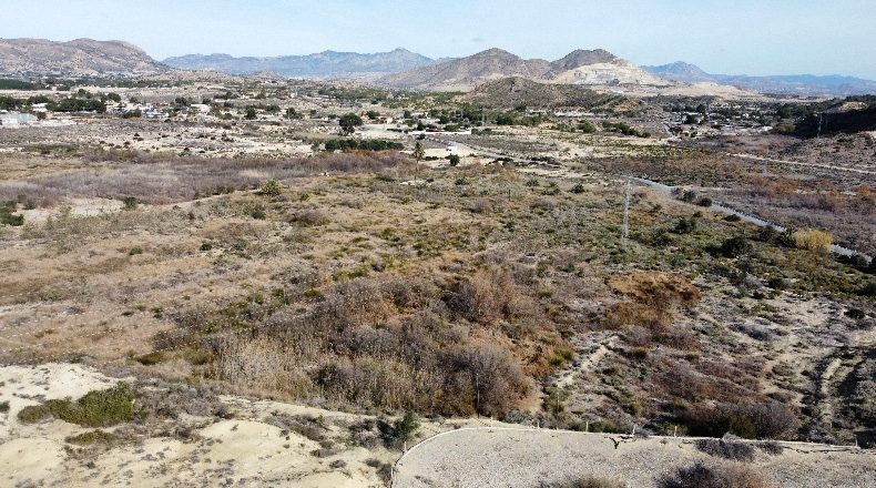 Аликанте - Alacant - 244891m2