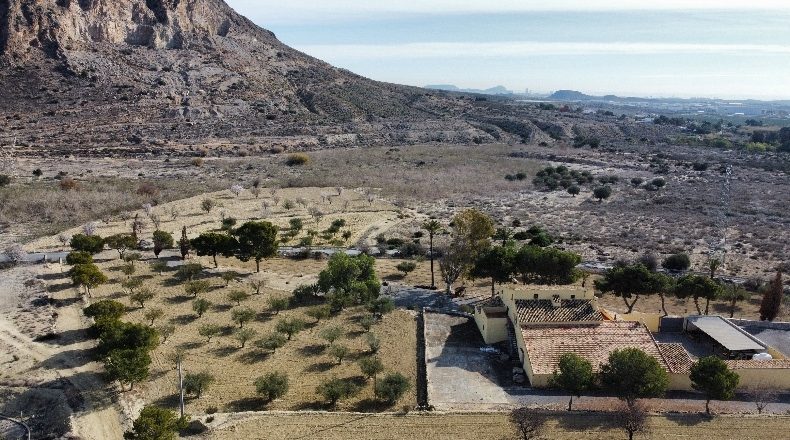 Аликанте - Alacant - 244891m2