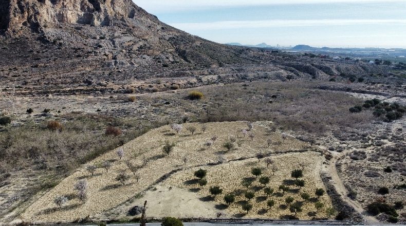 Аликанте - Alacant - 244891m2