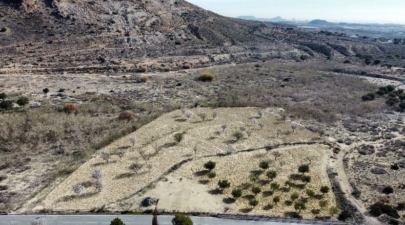 Аликанте - Alacant - 244891m2