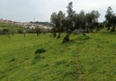 Rural estate for sale on Viña Grande, Higuera de Vargas, ref: TR230251 photo