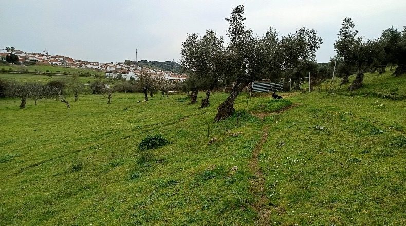 Badajoz - Higuera de Vargas - 73000m2