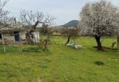 Rural estate for sale on Viña Grande, Higuera de Vargas, ref: TR230251 photo